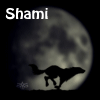   Shami NT