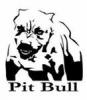   Pitt Bull
