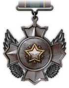 Медаль программиста