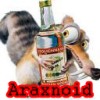   Araxnoid
