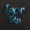  IGOR_WTP